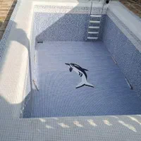 خدمات نظافتی شستشوی استخر|خدمات نظافت|مشهد, توس (بلوار توس)|دیوار