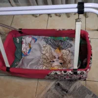 گهواره نوزاد|کالسکه و لوازم جانبی|کرج, شهرک فهمیده|دیوار