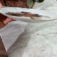 دکوری بشقاب قدیمی رخ فانتاسی بسیارزیبا و نو|کلکسیون اشیاء عتیقه|لاهیجان, انقلاب|دیوار