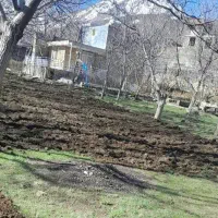 تیلر|خدمات باغبانی و درختکاری|جوکار, |دیوار