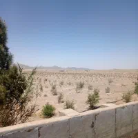 باغ زمین ویلایی