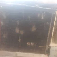 کولر دست دوم