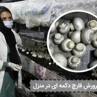 داوطلبانه درمورد تصاویر اگهی راهنمایی میکنم