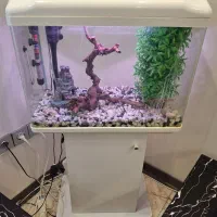 اکواریوم شیشه خم کامل شرکتی همرا میز کامل (نونو)