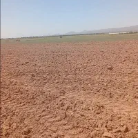 زمین-کشاورزی-به-مساحت-5000متر-مخصوص-کشاورزی