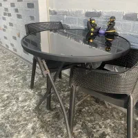 صندلی چرخدار+میز گرد شیشه‌ای+قهوه ساز+قلیان