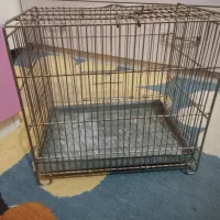 قفس و لوازم|لوازم جانبی حیوانات|محمدشهر, شهرک پیام (مهرالبرز)|دیوار