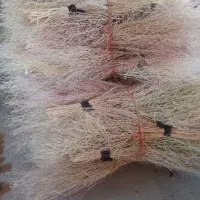 جارو دستی طبیعی گسک