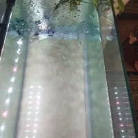 یک عدد آکواریم