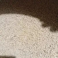 خوراک دام وطیور شرکت پارس