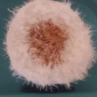 فروش اسکاج ونخ یوموش