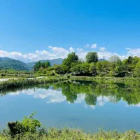 چهار هزار پانصد متر زمینه قابل تفکیک دو‌ر دیوار