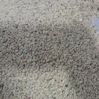 باسلام من کشاورز حاصل زحمت یک سال عدس مشکین شهر|خوردنی و آشامیدنی|بهارستان, |دیوار
