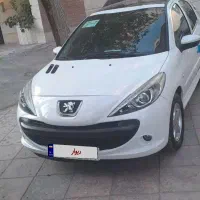 ۲۰۷ پانا استثنایی در حد فرمان برقی