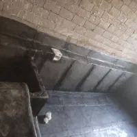 نصب و فروش ایزوگام شرق مشهد ب قیمت کارخانه|خدمات پیشه و مهارت|مشهد, توس فردوسی|دیوار