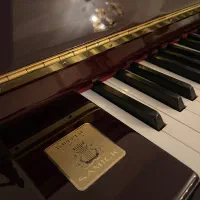 پیانو آکوستیک|پیانو، کیبورد، آکاردئون|تهران, زعفرانیه|دیوار