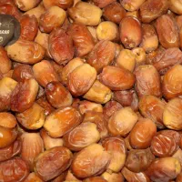مواد غذایی ارگانیک