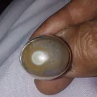 ی دعقیق یمنی و ی سلیمانی