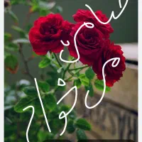 70میلیونه هرکی می تونه ضامنم بشه