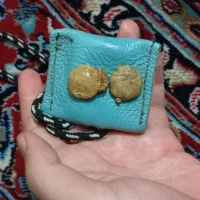 نطفه مار شاه کبری