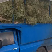 بار یونجه درجه ۱۱ ایلام میدان قران