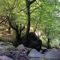 طبیعت گردی و کوهنوردی