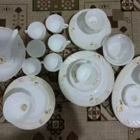 چینی ارکوپال اصلی. درجه یک  ۵۲ تیکه