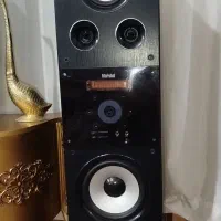 یک جفت باند