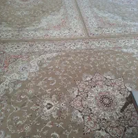فرش مشهد  ۱۲ متری|فرش|مشهد, رضاشهر|دیوار