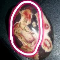 سر کتاب و دعا|خدمات پذیرایی، مراسم|ارومیه, |دیوار