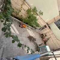 همکف-حیاط-دار