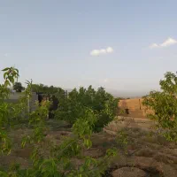 فروش زمین کردان (کوشک زر)