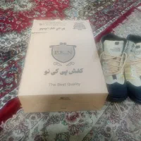 کفش سایز ۴۳