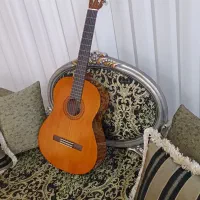 گیتار اندوزی c40