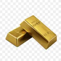 قطعه ای طلا پیدا شده