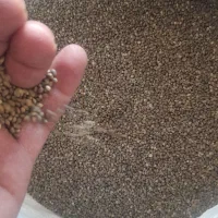 شاهدانه ریز سراب برای سهره وسهره قناری|لوازم جانبی حیوانات|سرعین, |دیوار