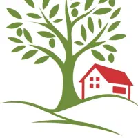 فروشنده حرفه ای یا پاچال دار
