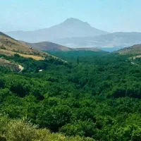 فروش فوری باغ در بهشت پنهان