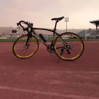 دوچرخه کورسی phoenix