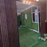 آینه ودکوردورش
