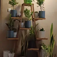 استند گل بدون گل