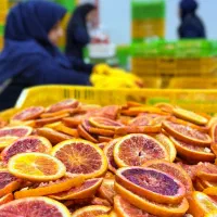 استخدامی|استخدام صنعتی، فنی، مهندسی|شاهرود, |دیوار