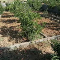 راهنمایی راجب زمین باغشهری یا کارگاهی