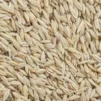 نهادهای داخلی و خارجی(توضیحات اگهی مطالعه شود).