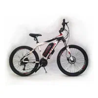 دوچرخه برقی بهین موتور - ویوا Blaze