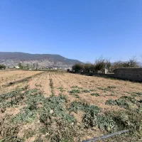 معاوضه زمین مسکونی با خودرو|فروش زمین و ملک کلنگی|کیاسر, |دیوار