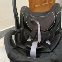 کریر نوزاد ولدون