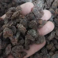 کشمش مویز|عمدهفروشی|ری, ملکآباد|دیوار