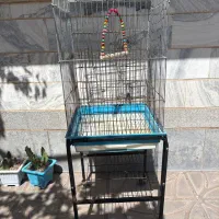 قفس پرنده