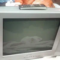 تلویزیون